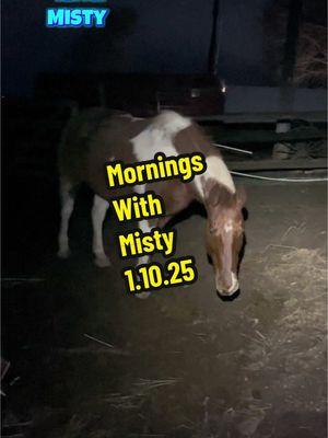 Replying to @Lezlie Mackay #morningswithmisty #shesstillhere #oldmare #seniorhorselife #lifewithhorses #horsemomlife #funkranch #paintpony #pnwlife #