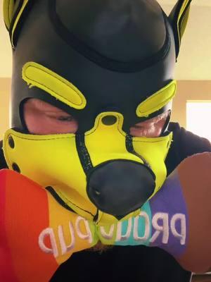 #pupplaycommunity #pupplay #humanpupplay #pupplaytiktok #pupember #pupplayfamily 