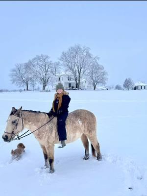 Charlie the poodle is thinking “me more cowboy than you” in this snow😂 What a perfect morning to turn 39❄️ we got up early and we didn’t worry about brushing or saddling up, we just went out and hopped on because we’ve always wanted to ride in the fresh snow!  It was so peaceful.   We just took it all in this morning and thanked God for his masterpiece. .#freshsnow #oldhorse #birthday #horsebackriding #snowride #missouriblizzard #goldenretriever #toypoodle #snowdog #motherdaughter #dirtyhorse #snow 