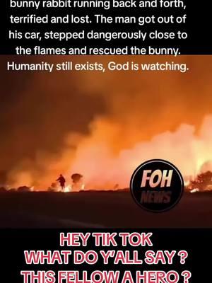 #duet with @Joshua Hosler #fires #hero #savethebunnies #rabbits #rabbitsoftiktok #letsfindhim #tiktokchallenge #fyp #foryou.  HEY TIK TOK WE HAVE A HEROIC FELLOW TO FIND