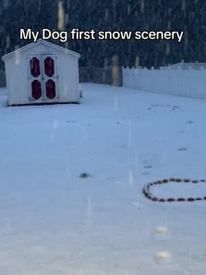 Really don’t snow here but hopefully we’ll have some more snowfall soon again.! #mondvorhees #dogsfirstsnow 