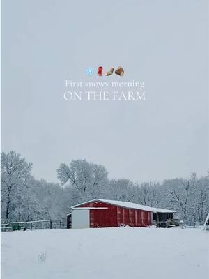 Chores are harder, but the views are prettier ❄️ #oklahomafarm #snowonthefarm #oklahomasnow #poultryfarming #homesteadlife #familyfarm #winterfarm 