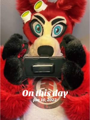 Old video of me doing magic trick! #furry #onthisday #foryou #petethefox #furry4life #partialfursuit #furryproud #cutefurry #furrytiktok #owa #fyp #4upage #furryfandom #furrytrash 