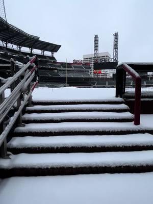 Play ball? ☃️ #braves #atlanta #MLB #snow #snowday 