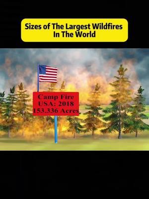 Los Angeles Wildfires | Size Of Largest Wildfires in the World #comparison #size #wildfires #fire #losangeles #palisades #explore #fyp 