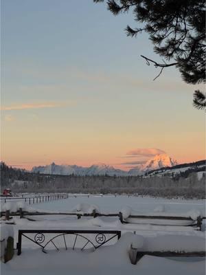 nothing beats a cold winter morning with an alpine glow 🤍 #grandtetonnationalpark #alpineglow #jacksonholewyoming #wintersunrise #ranchlife 