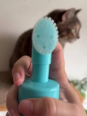 new year, same ASMR content. happy new year 🎆 #uprootclean #pawcleaner #uprootpawcleaner #petcare #petgrooming