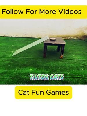 #keşfet #fyp #keşfetteyizzz #foryoupage #foryou #cat #kitty #catsoftiktok #cattok #straycat #kittycat #catgame #catgame2025#catfunnyvideos #catfunnygame #200viewsjail