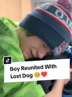 Owners reunited with their lost dogs ❤️ || Heartfelt Reunions 🥺 #dog #dogsoftiktok #doglover #dogtok #doggo #dogs #reunion #reunited #lostdog #crying #emotional #wholesome #heartwarming #moments #fyp #foryoupage #fypシ 