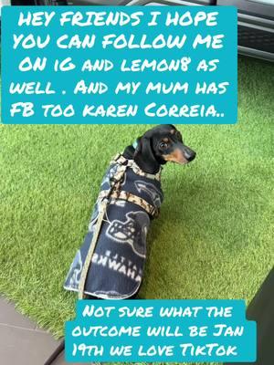 #henrythedachshund #fypシ #lemon8 #IG#FB#Love#tiktok##ease follow me if you can #💔