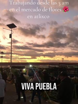 Viva puebla#usa_tiktok #fyp #paratii #viralvideo #puebla #mexico #chefoscarny #izucardematamoros #work #trabajoduro 