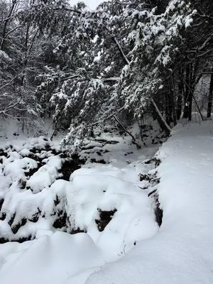 in awe we live here #iheartsnow #winterwonderland #viral #fyp #getoutside #narnia #landowners #homestead #creeklife 