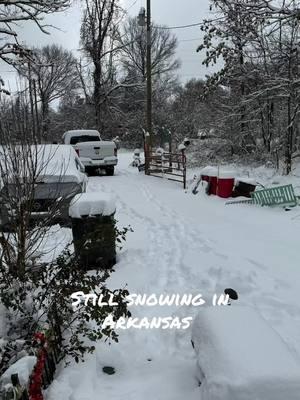 #arkanasas #snow #snowoftiktok #godsbeauty #fyp 