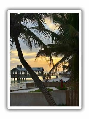 Dinner and a view @louiesbackyardkeywest 😍 #keywest #keywestflorida #floridakeys #thefloridakeys #islandlife #thingstodoinkeywest #keywestfood #yum #dinnerwithaview #islandlife #keywestvacation #experiencekeywest 