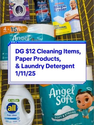 Dollar General Cleaning, Paper, & Laundry Deal for $12 on 1/11/25 #dollargeneral #dg #couponing #dollargeneralcouponing #coupontok #coupon #savingmoney #cheap #budget #deals 