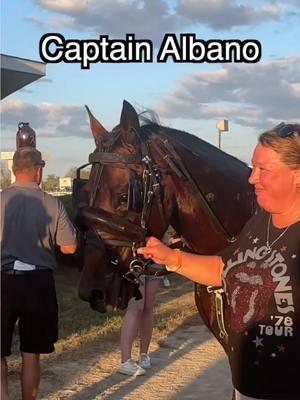 Congratulations to our three-year-old colt Dan Patch division winners Sig Sauer and Captain Albano! #harnessracing #winners #ustrotting 