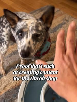 It's truly the best slow feeder #heelersoftiktok #dogtok #dogsoftiktok #cattledog #blueheelerpuppy #heelers #familydog #heelertok #dogfeeding #dogfeedingroutine 