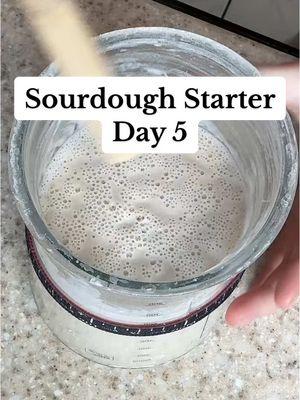 Orlandough is almost active (I think) #sourdough #sourdoughstarter #sourdoughstarterfeeding 