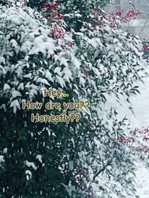 Its ok!! #snow #snowday #hereforyou #goodienahoodie #lostfambam🦶 #sharethecare #fyp #tennesse #kindness #ptsd #MentalHealth #nature 