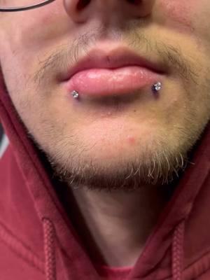 Snake Bite Piercings using Base Laboratories Piercing Aftercare Spray! By @Tatt2honey @Base Laboratories #snakebites #piercings #piercing #piercingaftercare #piercingaftercarespray 