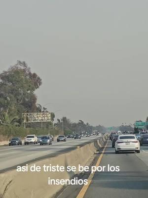 humo y senisas en el aire tras los insendios#incendio#enlos#Angeles