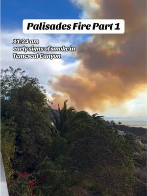 1/7/25 The day we lost our home. 😭💔 Timeline of our efforts to save our beloved home in Malibu.   Part 2 is next.  💔💔💔😭😭😭 #palisadesfire #malibu #part1 