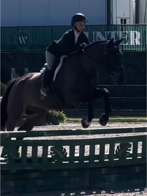 So exited for our WEF debut in two weeks!🥹 Clips are from the ESP Holiday show right before Christmas :) #equestrian #equine #equestrianlife #equestriansoftiktok #horse #horses #horselife #horsegirl #horselove #horselover #horsesoftiktok #horsesontiktok #horsetok #horsebackrider #horseback #horsebackriding #horseshow #showhorse #hunterjumper #showjumper #showjumping #equitation #fypage #fyp 