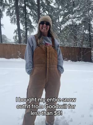 Take a look at my coveralls and boots I bought at Goodwill!! #goodwill #goodwillfinds #snow #snowoutfit #OOTD #coveralls #boots #goodwillbins #bins #fyp #arkansas #arkansassnow #snowday 