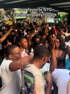 Bring ya flags and that waistline 😝🕺 #dancehall#soca#nyc#party#carribeanparty 