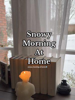 rare snow day here in alabama❄️ #snow #snowymorning #snowday #snowfall #morning #morningroutine #morningvibes #morningaesthetic #cozy #cozyathome #cozytok #winter #wintertime #winteraesthetic #cosyhome 