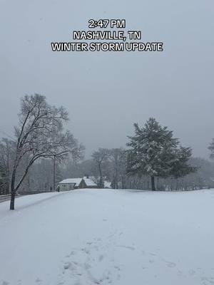 Nashville, TN Winter Storm Update (2:47PM) #winterstorn #nashville #blizzard #winter #snow #fyp #2025 #xyzbca #snowman #winterstorm #badweather #tennessee #snowday 