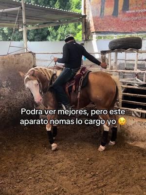 #AGperformancehorses #caballostiktokers #animalestiktokers_ #fypシ 