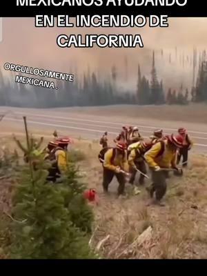 PARA ESTADOS UNIDOS LOS MEXICANOS SOMOS LOS PEORES PERO MIREN AQUI NUESTRA RAZA AZTECA APOYANDO EN EN LOS PEORES MOMENTOS.  POR QUE AL FINAL SOMOS MEXICANOS Y LOS MEXICANOS NO NOS RAJAMOS .. #ayudamexicana #incendiosforestales #california #incendioencalifornia #vamosmexico #bomberosmexicanos #soymexicano #mibandera🇲🇽 #bomberos #incendios #tiktok #tiktokviral #videosvirales #ayuda #ayudalatina #parati #fyp #viralvideo #noticias 