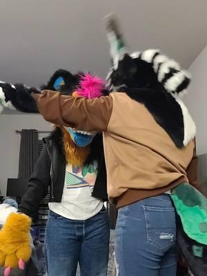 @AKARU 🔪✧  BANNED 💥‼️  . . . Tags: #fursona #duet #fursuit #furry #anthro #anthrocharacter #furrypride #furrycommunity #furryfandom #furryfriends #fursonas #dsmp #dsmpfursuit #dsmpranboo #ranboo #ranboolive #ranboocosplay #ranboomybeloved #dsmpcosplay #multicolorbark #dogfurry 