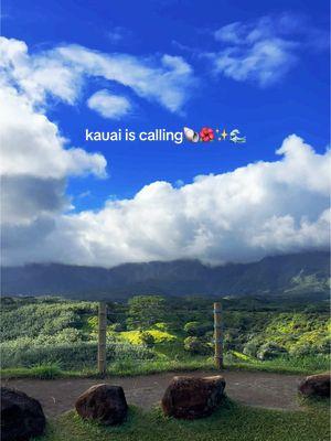 this is your sign 🏝️🌺💙🥥🐬🌅🐋 #kauai #kauaihawaii #christmas2024 #happynewyear #inawe #exploremore #hawaiivacation✈️  #napolicoastline #tunnelsbeachkauai #coldpond #northshore #southshore #princevillekauai #paradise #heavenonearth #holoholocharters #hanaliebay #surf #beach #ocean 