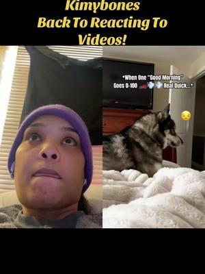 #duet with @Tikanni Kita & Tehya #husky Thanks for allowing me to duet this! You gotta be a gangsta to deal with huskys! #morepowertoyou #huskylife #husky #reactionsbykimybones #kimybonesbacktoreact #lightbrightkimybones #lightbrightcomedian #animals #biggie #kimybones #goalto30k #funny 