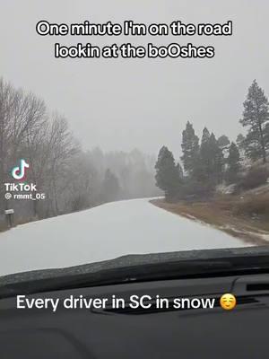 #breakingnews #winterweather #scsnow #funny #bossbabe 