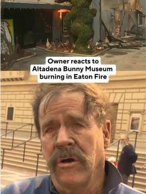 Personal Stories: A Legacy Lost Steve Lubanski, co-owner of the #BunnyMuseum in #Altadena, is devastated after the Eaton Fire destroyed the 40-year collection. While he and his wife saved their pets, the building and artifacts were lost. The museum, open for 26 years, was known as ‘the world’s only museum about everything bunny. 📽️: KCAL News #eatonfire #altadenaca #wildfires #CAWildfire #palisadeswildfire 