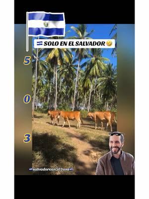 🇸🇻 SOLO EN EL SALVADOR 😅🤣 VIERNES SOCIAL 🙌🏻🇸🇻🇸🇻 #salvadoreños #salvadorean #fypシ #guanacos #hermanolejano #parati #elsalvador #fly #viral #viralvideo #viraltiktok #foryou #salvadorean503usa #elpulgarcito🇸🇻 #followme 