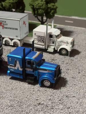 Big Peterbilts parked up in the lot #fypシ゚viral #164scale #modeltrucks #peterbilt #semitruck #semitrucks379 #164peterbilt #diecastmodels #bigboytruck #freightliner #bigrig #sleepersemi 