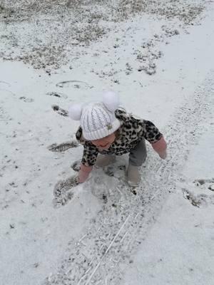 Salahs first snow❤️❤️#nc #snowinnc 