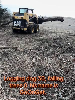 #walnut #blackwalnut #logging #logger #lumber #loggertok #lumberjack #iowa #iowalogger #blackgold #catipillar #johndeere 