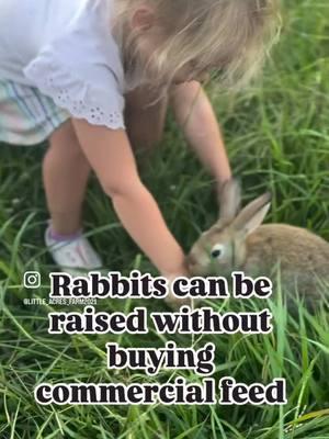 My white meat of choice…. RABBITS! ✨The same set of breeders can breed for at least 3 years and have a litter every 10 weeks. ✨Rabbit meat is leaner and has a higher protein to fat ratio. ✨ The kids are able to handle them and of course get excited with new babies and start handling them asap which makes for easier breeders. ✨Rabbits can be raised in a grow out pen eating grass, hay, and certain scraps.  ✨We can have a rabbit butchered and ready to cook in 20 minutes. All you need is a good knife and water hose. #meatrabbits #meatrabbit #homestead #homesteaders #homesteadlife #homesteading #homesteadersofinstagram #Sustainability #louisianahomesteader #farmlifebestlife 