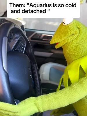 Look 50 shades of Grey got nothing on us 😅🐸 Original video @kermycrashout IG  Edit @Aquarius.momma_ #aquarius #aquariusmomma #aquariuszodiac #acuario #zodiaco #50shades #kermit #zodiacsigns #zodiac #astrology #aquariusmoon #horoscope #fyp #parati