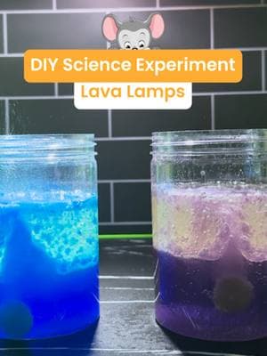 You've got to try this easy to make DIY lava lamp science expirement. Which color would you use? #lavalamps #diylavalamp #craftsforkids #abcmouse