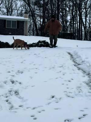 Don’t mind me, just out here livin life & bout bustin my butt!  Glad the wife got this recorded. Lol 🤪🤣🤣  #SnowSurfing #Snowmageddon2025  @Amber Kirkland 