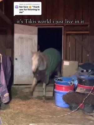 Replying to @jlyn1989 tiki always gets what tiki wants because she made all of my dreams come true 🩵 #fyp #equestrian #therapyhorse #hearthorse #retired 