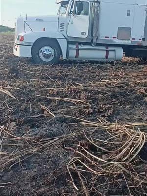 bestiaaa 😎😎😎 @🇸🇻🚛Ruben Hernández 🚛🇸🇻 #camionesdeelsalvador #cargadorasdecaña #😎🔥😎 #camionerosdecorazon💪😍🚚 #parati #viral #amantedelavelocidad #cañeros_de_el_salvador🇸🇻🤍 #cañerosdecorazón 