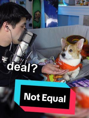 greedy little guy.... #twitchtok #corgilife #smallstreamer #corgi #corgisoftiktok #streamersoftiktok #corgination 