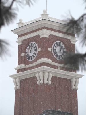 A bit of snow on campus, Friday, January 10, 2025 ❄️ #WSU #GoCougs 